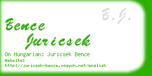 bence juricsek business card